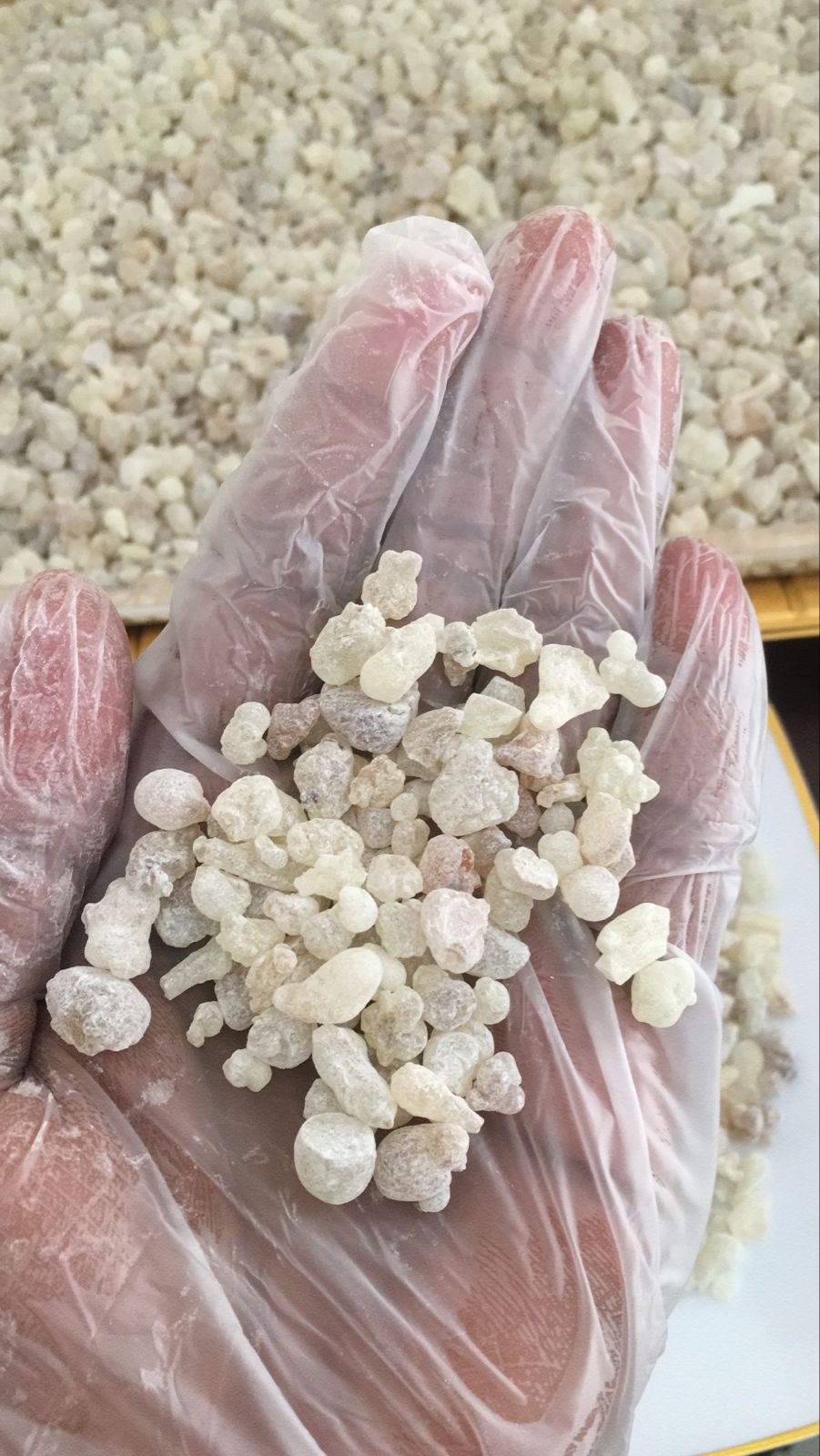 Pure White Hojari Frankincense Resins 1 Kg / 2.2 Lb