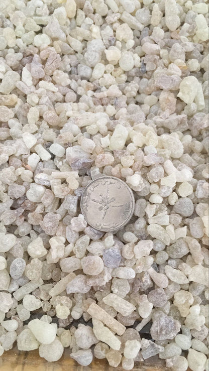 اللبان الحوجري الأبيض النقي " أرقص" 1 كجم / 2.2 رطل